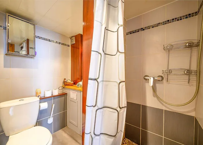 Lx196 Mezzanine Balcon Tram A Pied Apartament *